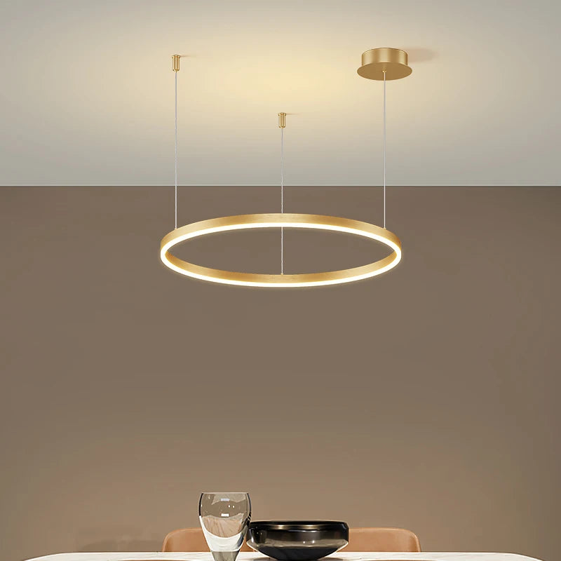 Modern Led Ceiling circular Chandelier
